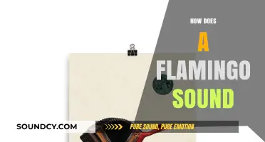 Unveiling the Unique Vocalizations: What Sound Does a Flamingo Make?
