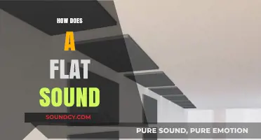 Understanding the Unique Acoustic Qualities of Flat Sounds in Music