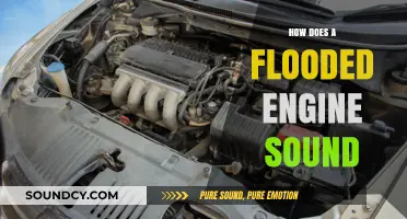 Flooded Engine Noise: Identifying the Distinct Sounds of a Waterlogged Motor