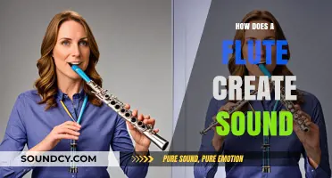 Understanding the Science Behind Flute Sound Production and Mechanics