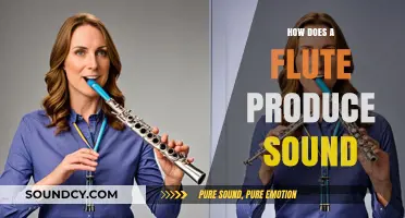 The Magic of Flute Sound Production