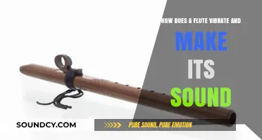 Understanding Flute Vibrations: How Airflow Creates Musical Sound Waves