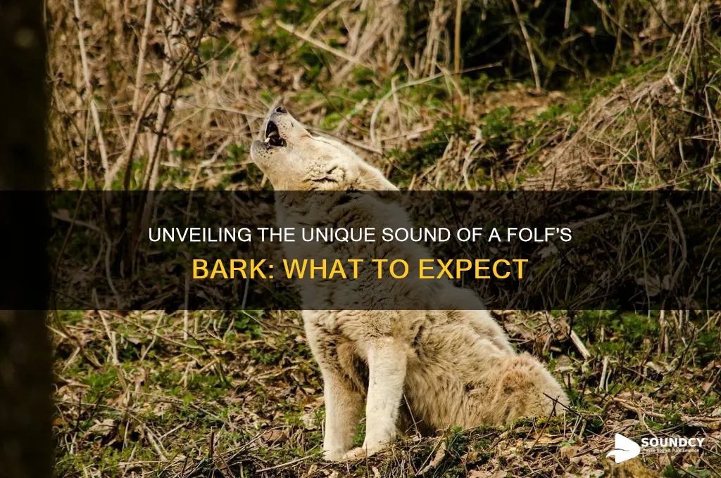 how does a folf bark sound