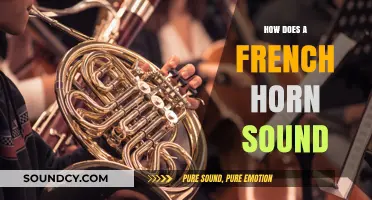 Exploring the Rich, Warm, and Versatile Sound of the French Horn