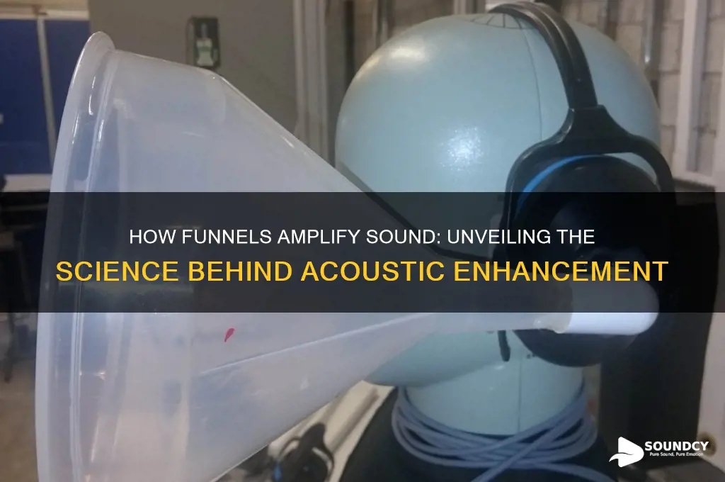 how does a funnel amplify sound