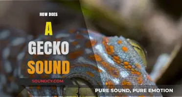 Unveiling the Unique Chirps and Clicks: How Does a Gecko Sound?