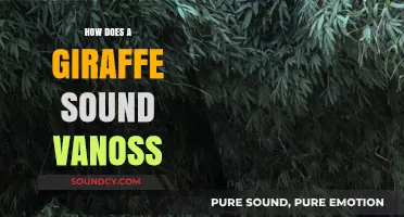 Unveiling the Unique Vocalizations of Giraffes: Vanoss Explores Their Sounds