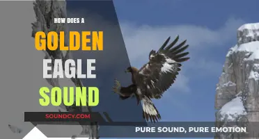 The Majestic Golden Eagle's Call: Unveiling Its Unique Vocalizations