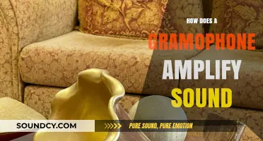 How Gramophones Amplify Sound: Unraveling the Mechanics of Acoustic Magic