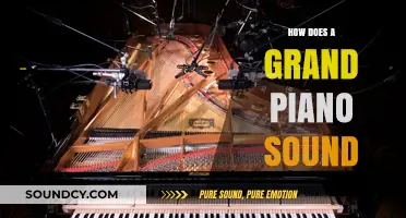 The Rich, Resonant World of Grand Piano Sound Explained