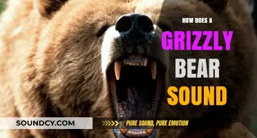 Unveiling the Powerful and Distinctive Vocalizations of Grizzly Bears