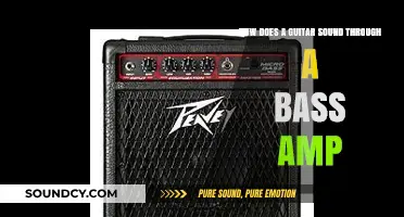 Guitar Through Bass Amp: Exploring the Unique Tone and Sound