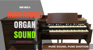 Exploring the Unique, Vibrant Sound of a Hammond Organ