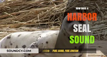 Unveiling the Unique Vocalizations of Harbor Seals: Sounds and Communication