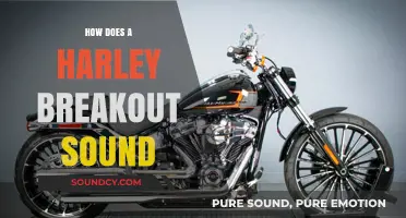 Harley Breakout's Roar: Unveiling the Iconic Sound and Power