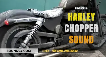 The Raw, Roaring Rumble of a Harley Chopper: Sound Explained