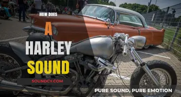 The Iconic Rumble: Understanding Harley-Davidson's Signature Engine Sound