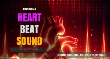 The Rhythmic Symphony: Unveiling the Fascinating Sound of a Heartbeat