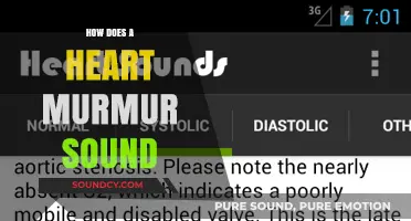 Heart Murmur Sounds: What Do They Mean?