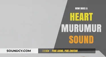 Understanding Heart Murmurs: What These Unique Cardiac Sounds Reveal