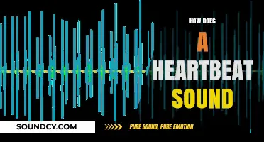 The Rhythmic Symphony: Unveiling the Unique Sound of a Heartbeat