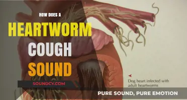 Identifying Heartworm Cough: What Does It Sound Like in Dogs?