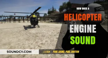The Unique Roar: Understanding a Helicopter Engine's Distinctive Sound