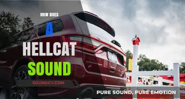 Unleashing the Beast: The Raw, Roaring Sound of a Hellcat