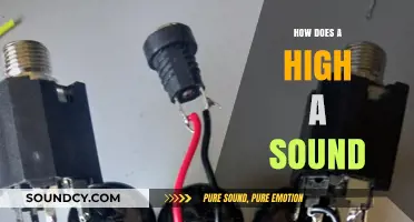 Exploring the Science Behind How High-Pitched Sounds Are Produced