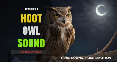 Unveiling the Mysterious Hoot: How Does an Owl Sound?
