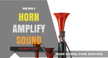 How Horns Amplify Sound: The Science Behind Acoustic Resonance