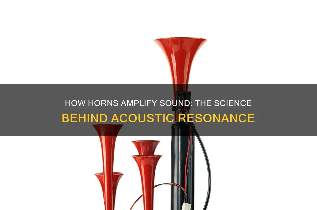 how does a horn amplify sound
