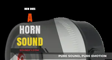 Unraveling the Unique Sound of a Horn: Science and Mechanics Explained
