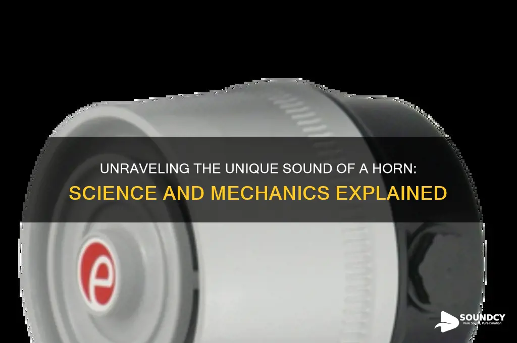 how does a horn sound
