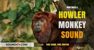 Unveiling the Deafening Roar: Howler Monkey's Unique Vocalizations Explained