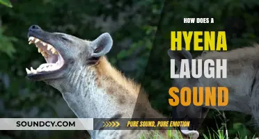 Unraveling the Mystery: What Does a Hyena's Laugh Really Sound Like?