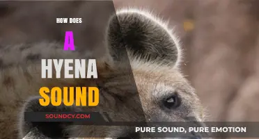 Unveiling the Unique and Eerie Sounds of Hyenas in the Wild