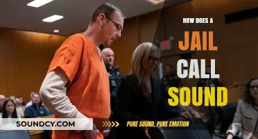 Listening to Jail Calls: What They Sound Like and Why