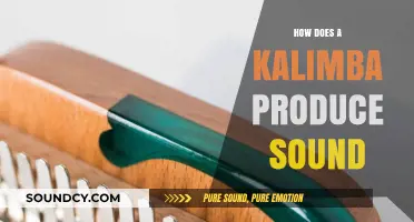 Understanding the Kalimba: How Its Tines Vibrate to Create Melodies
