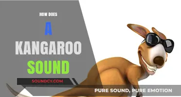 Unveiling the Unique Vocalizations: How Does a Kangaroo Sound?