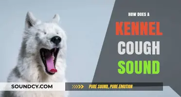 Kennel Cough Sounds: Identifying the Distinctive Honking Noise in Dogs