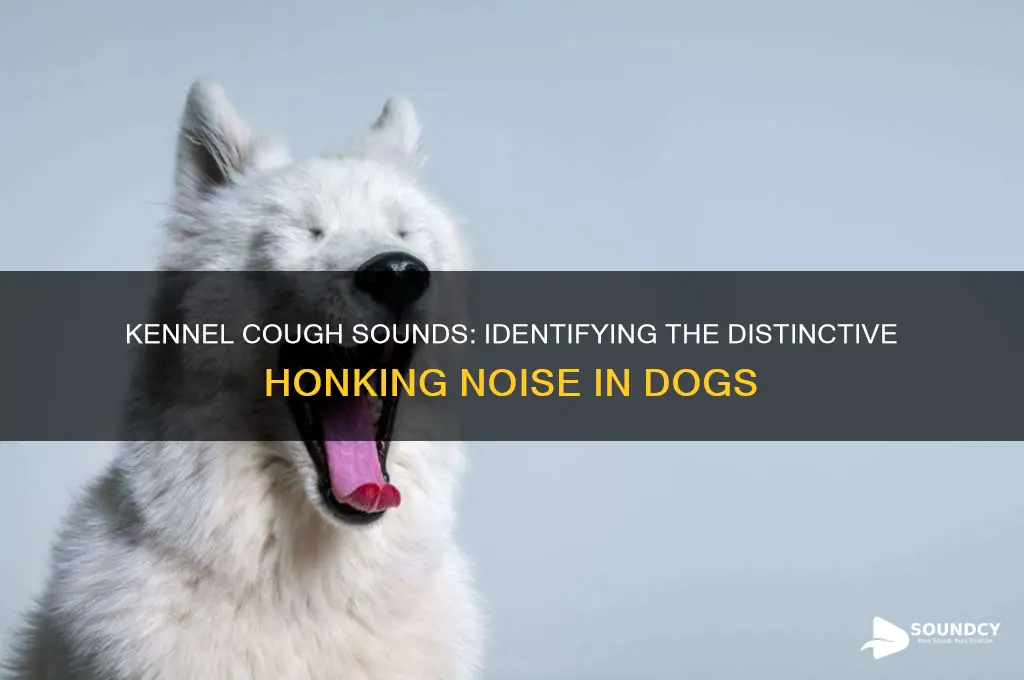 how does a kennel cough sound