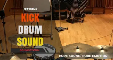 Exploring the Deep, Punchy Resonance of a Kick Drum's Signature Sound