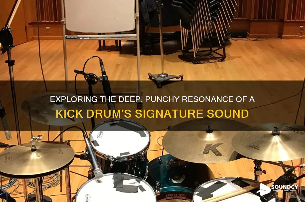 how does a kick drum sound
