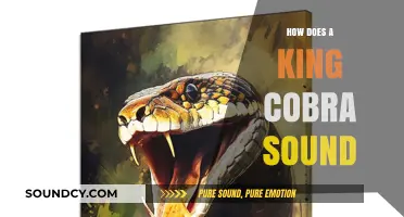 Unveiling the Unique Hiss: How a King Cobra Sounds in the Wild