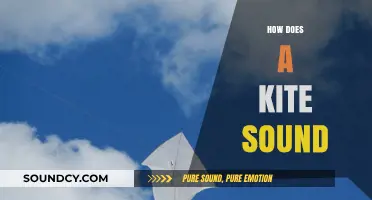 The Whispering Winds: Unveiling the Unique Sounds of a Kite