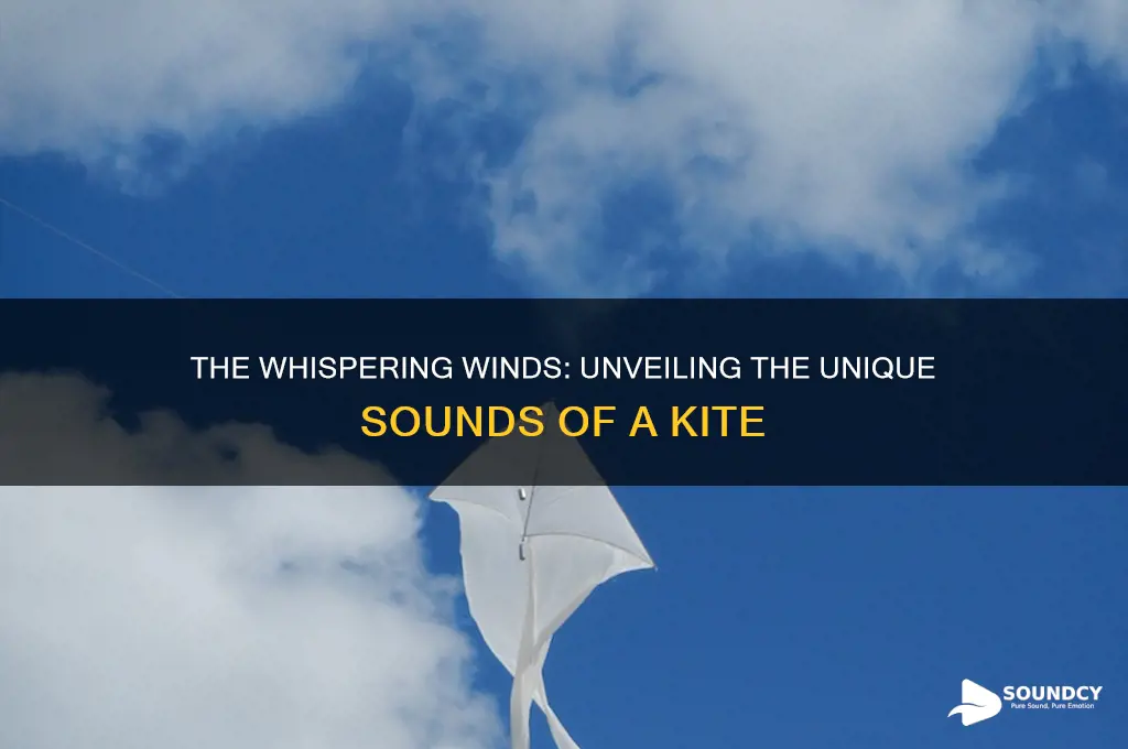 how does a kite sound