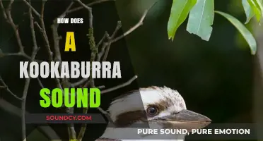 Unveiling the Unique and Hilarious Call of the Kookaburra