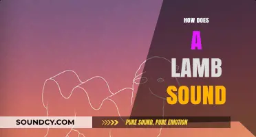 Understanding the Unique Vocalizations: How Does a Lamb Sound?