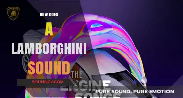The Roaring Symphony: Unveiling Lamborghini's Iconic Engine Sound